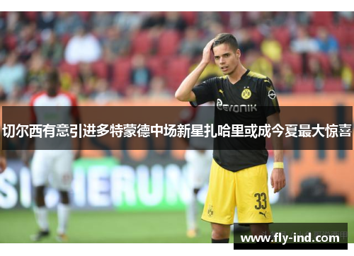 切尔西有意引进多特蒙德中场新星扎哈里或成今夏最大惊喜