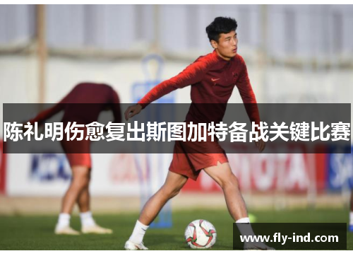 陈礼明伤愈复出斯图加特备战关键比赛