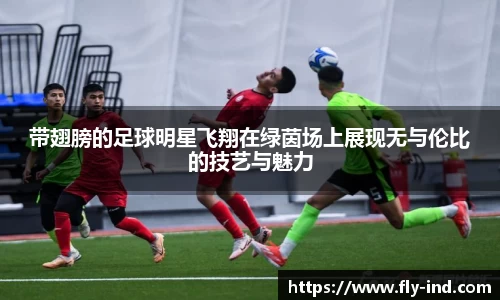 带翅膀的足球明星飞翔在绿茵场上展现无与伦比的技艺与魅力