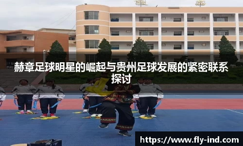 DG视讯官方网站