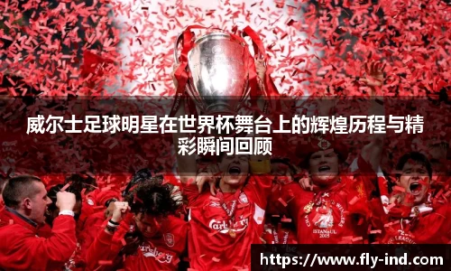 DG视讯官方网站