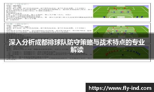 深入分析成都排球队防守策略与战术特点的专业解读